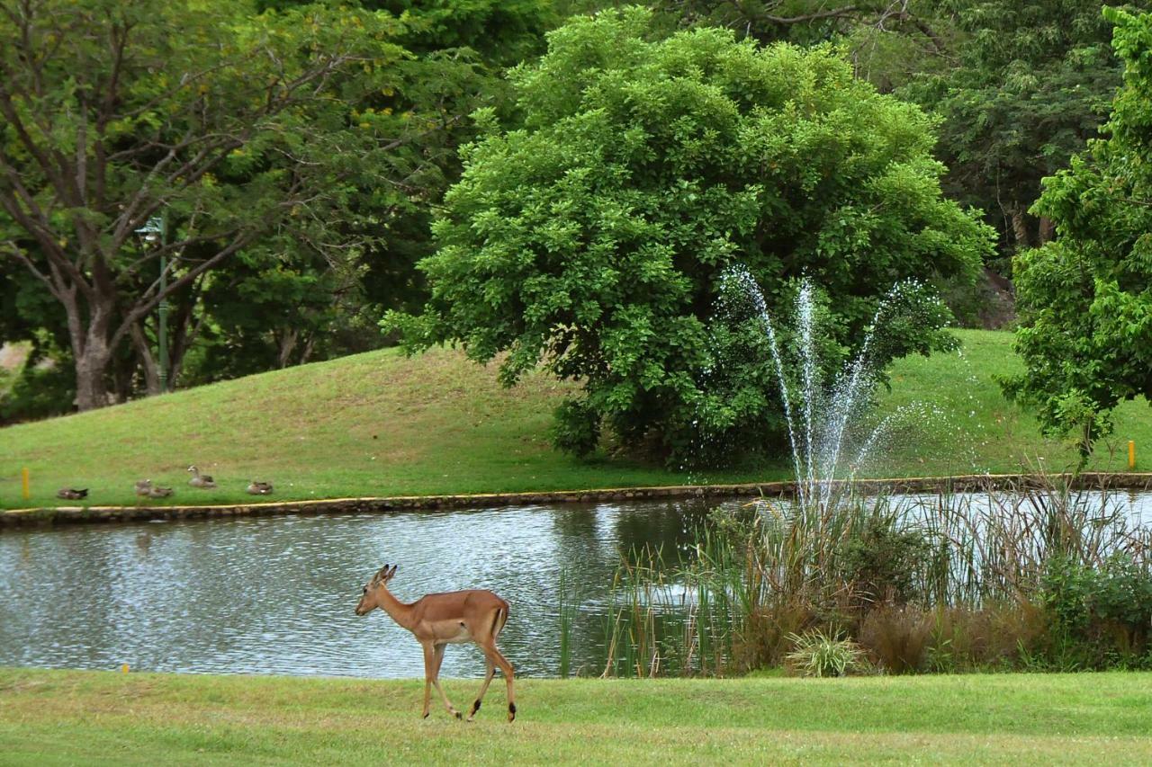 Kruger Park Lodge Unit No. 543 ヘイジービュー エクステリア 写真
