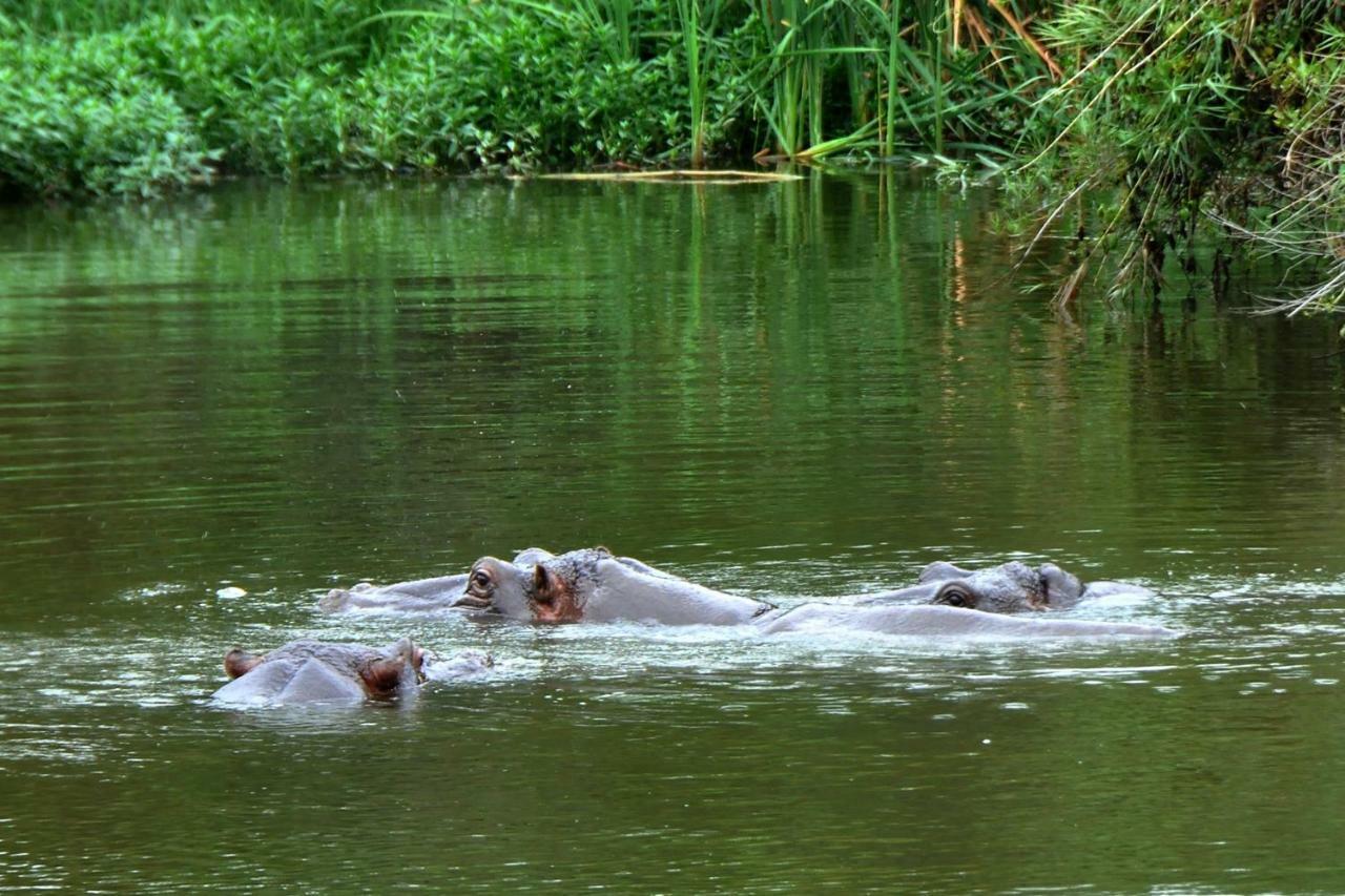 Kruger Park Lodge Unit No. 543 ヘイジービュー エクステリア 写真